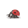 Coccinelle - Papo