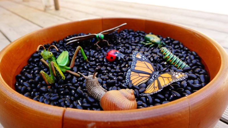 Coffret figurines - Insectes du jardin - Papo - Image 5