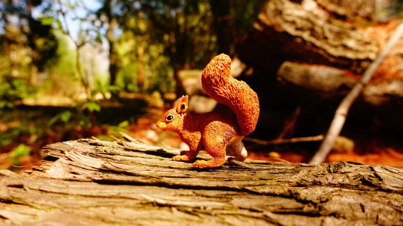 Coffret figurines - Animaux de la forêt - Papo - Image 8