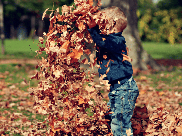 Le jeune enfant va découvrir la nature et le monde qui l'entoure par le jeu et la découverte