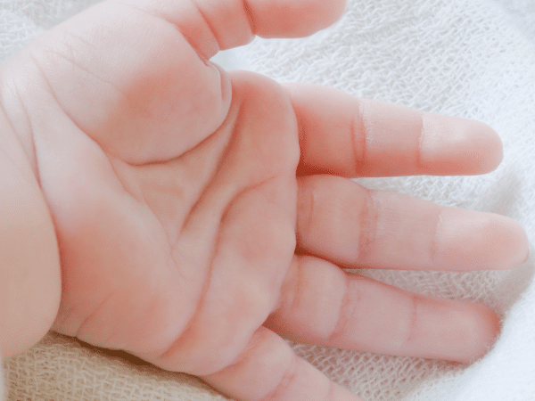 Les mains du bébé sont sensibles et prêtes à tout découvrir