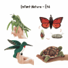 Coffret Enfant Nature - Été