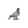 Pigeon - Papo