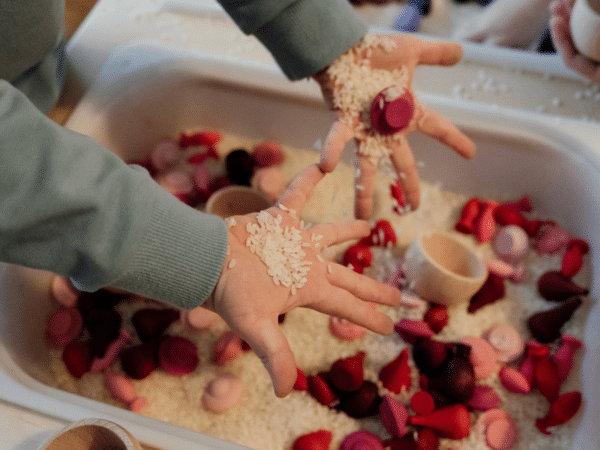 Formation - Matériel polyvalent Avancé