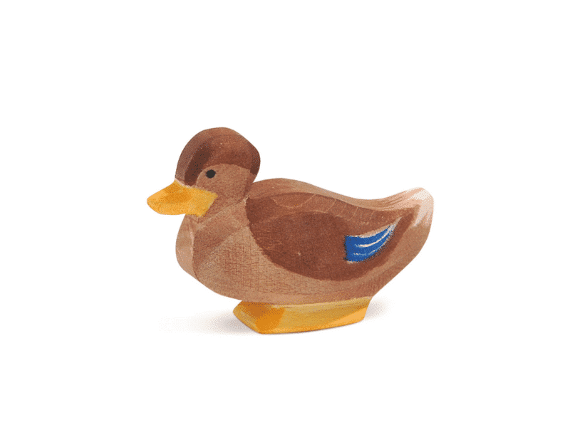 Canard assis - Ostheimer