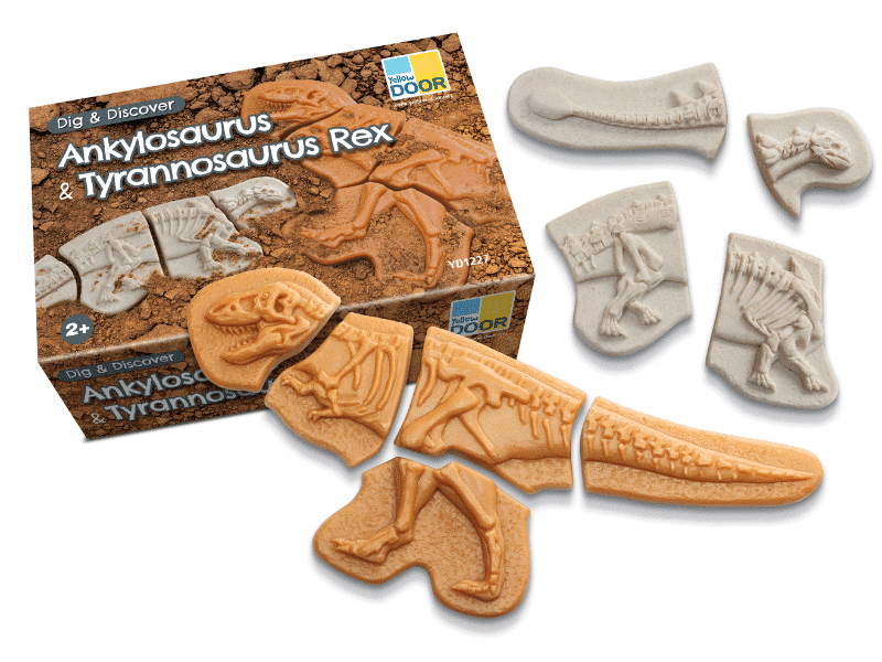 Ankylosaure et Tyrannosaurus Rex - Collection Dig and discover - Yellow Door