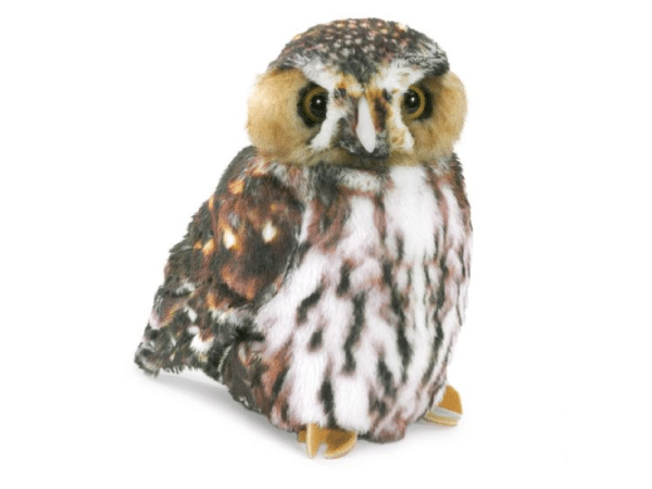 Hibou pygmé - Folkmanis Puppets
