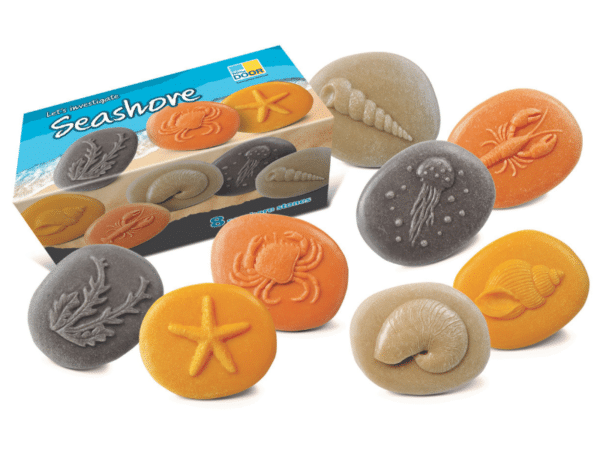 Océan - Collection Let’s Investigate - Yellow Door