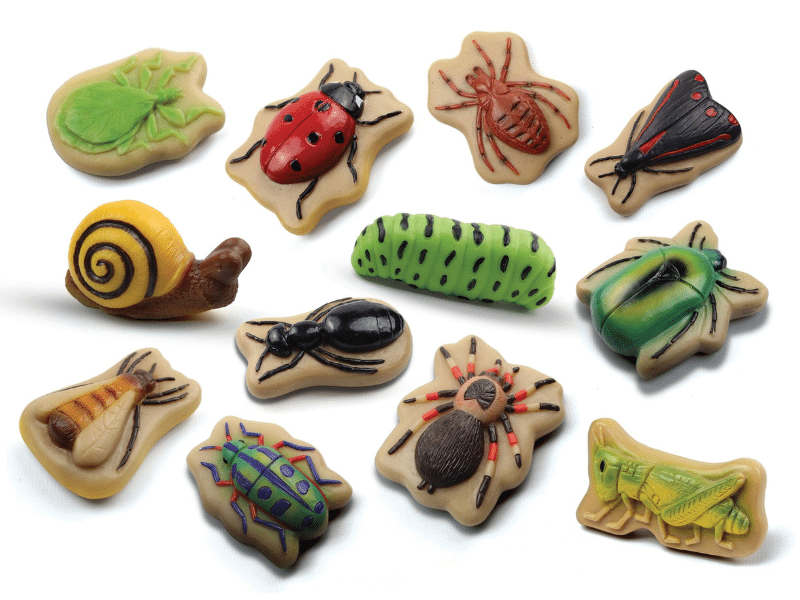 Insectes - Collection Sensory Play Stones - Yellow Door – Image 4