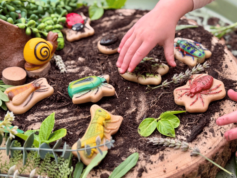 Insectes - Collection Sensory Play Stones - Yellow Door – Image 2