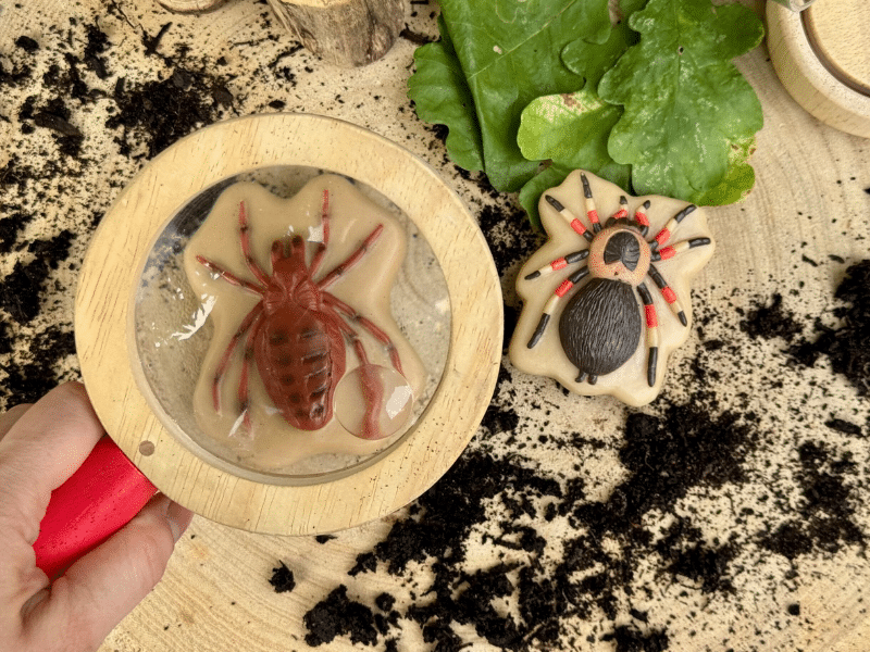 Insectes - Collection Sensory Play Stones - Yellow Door – Image 9