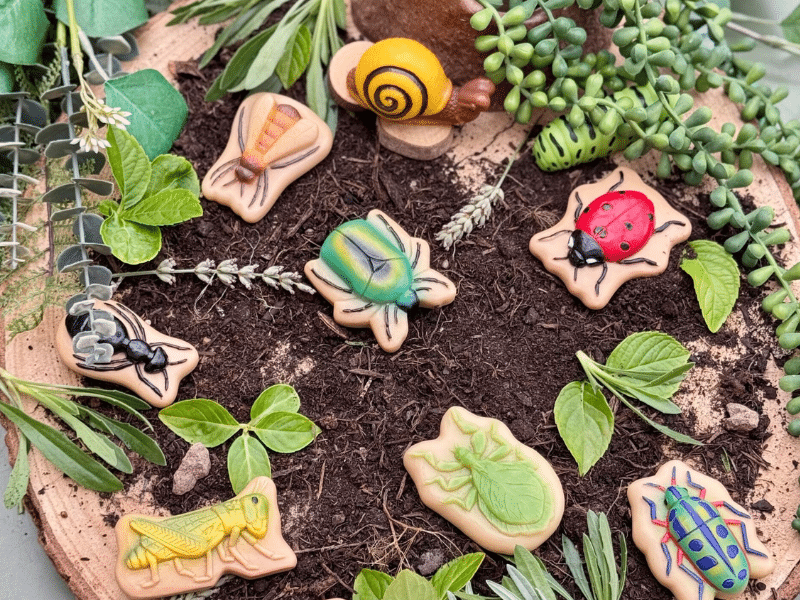 Insectes - Collection Sensory Play Stones - Yellow Door – Image 8