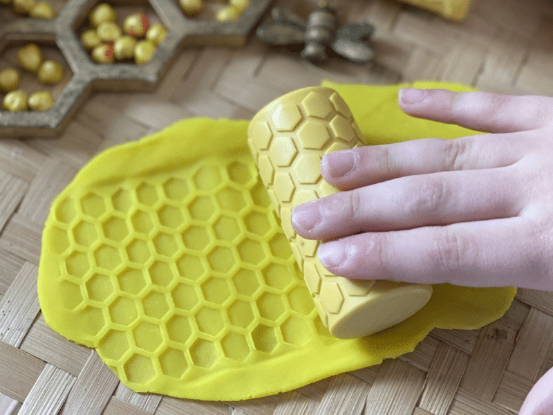 Insectes du jardin - Collection Let's roll - Yellow Door – Image 5