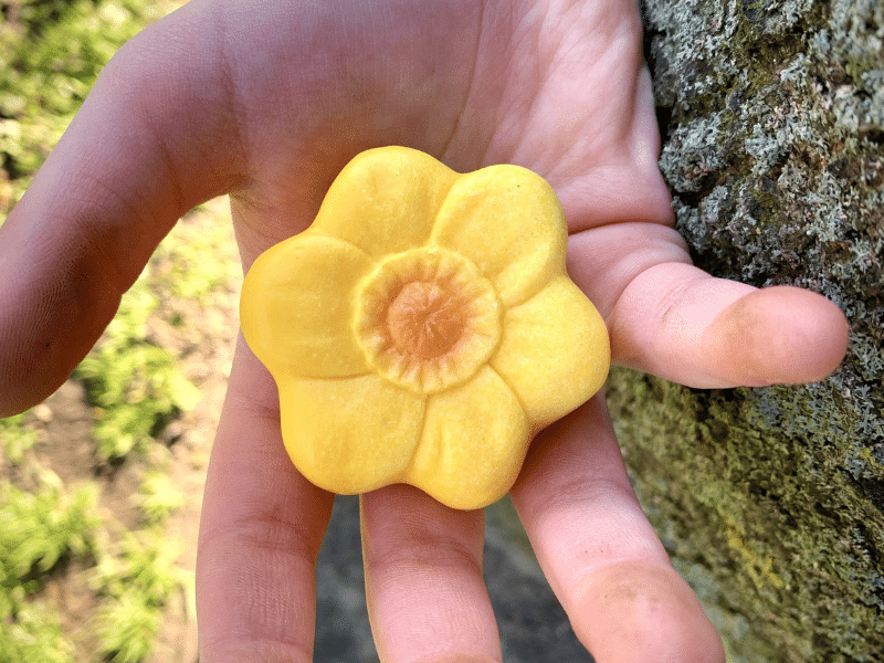 Fleurs - Collection Sensory Play Stones - Yellow Door – Image 8