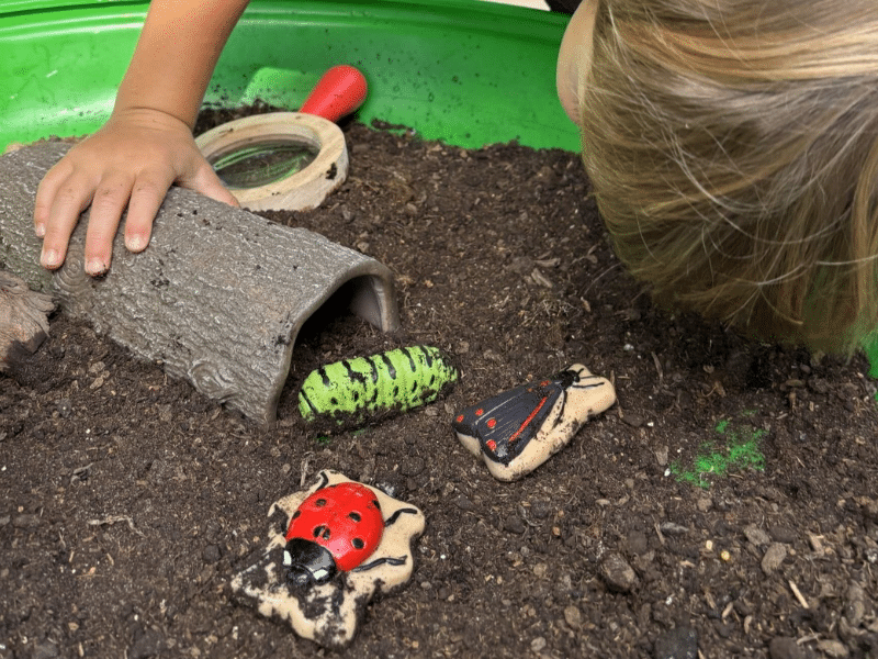 Insectes - Collection Sensory Play Stones - Yellow Door – Image 13