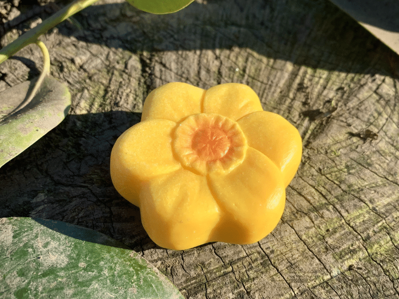 Fleurs - Collection Sensory Play Stones - Yellow Door – Image 18
