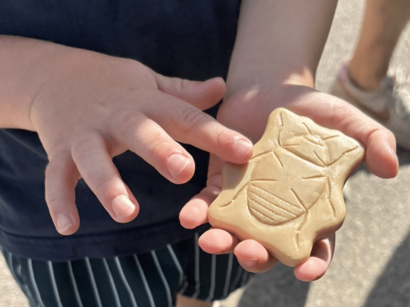 Insectes - Collection Sensory Play Stones - Yellow Door – Image 7