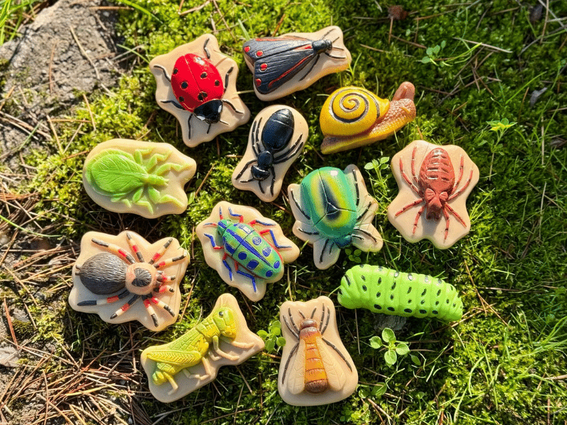 Insectes - Collection Sensory Play Stones - Yellow Door – Image 12