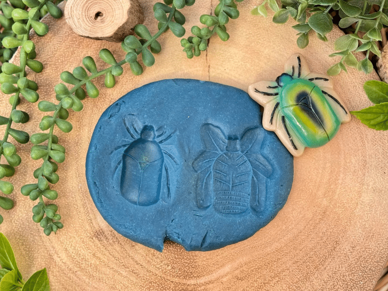 Insectes - Collection Sensory Play Stones - Yellow Door – Image 3