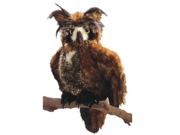 Hibou Grand-duc d'Amérique - Folkmanis Puppets